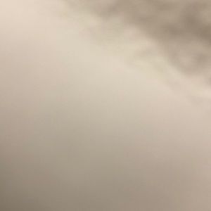 Meet your Posher, Liliana